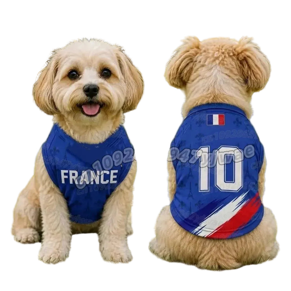 Small dog wearing a blue France dog soccer jersey with number 10, shown from the front and back