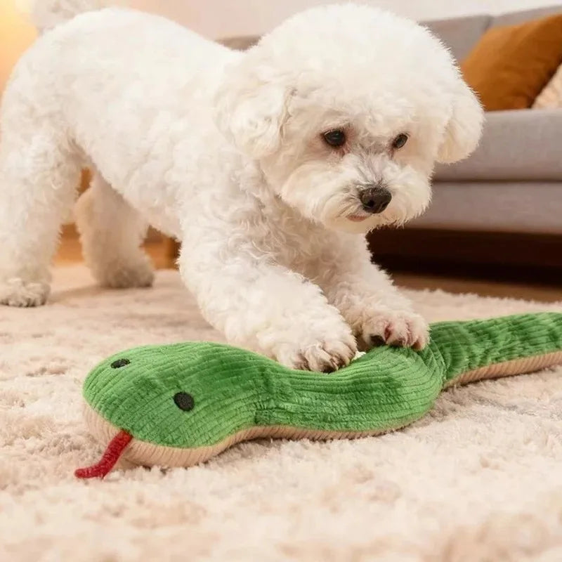 Small white dog playing with a green plush snake dog toy with ribbed fabric and soft body