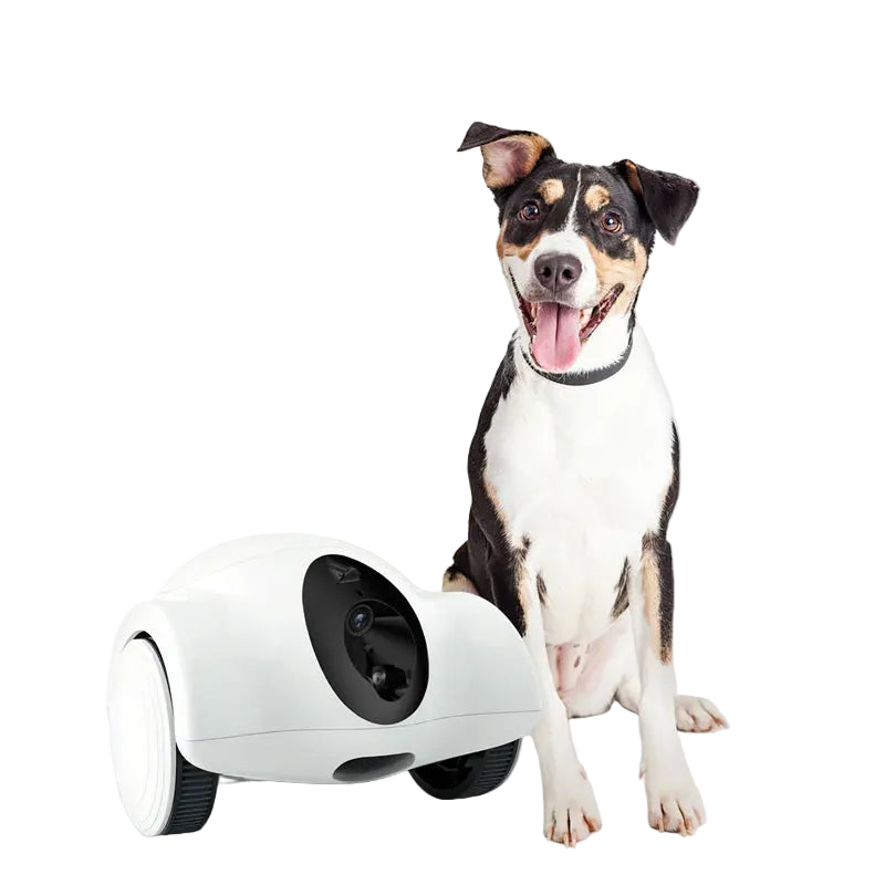 White wheeled smart pet camera robot beside a happy dog on a white background