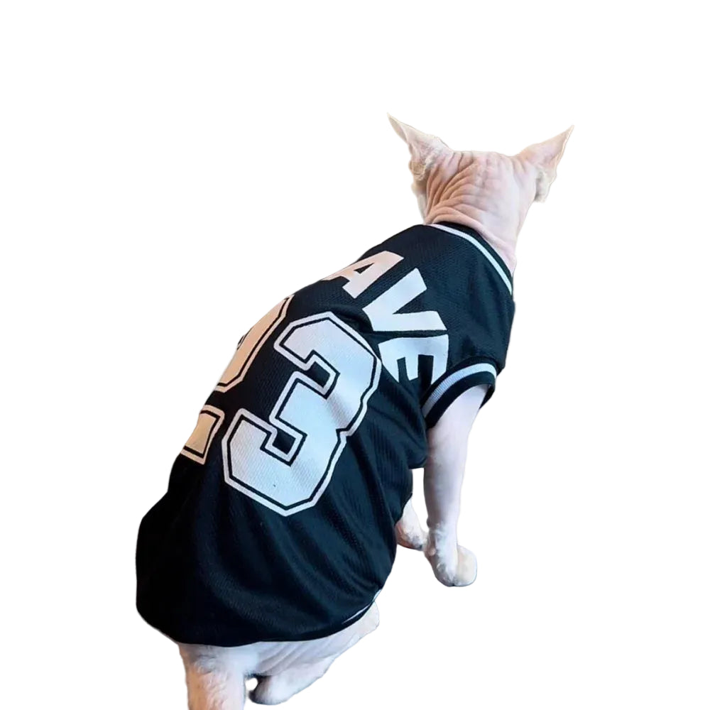 Sphynx cat wearing a black BRAVE 23 pet sports jersey with white trim, shown from the back