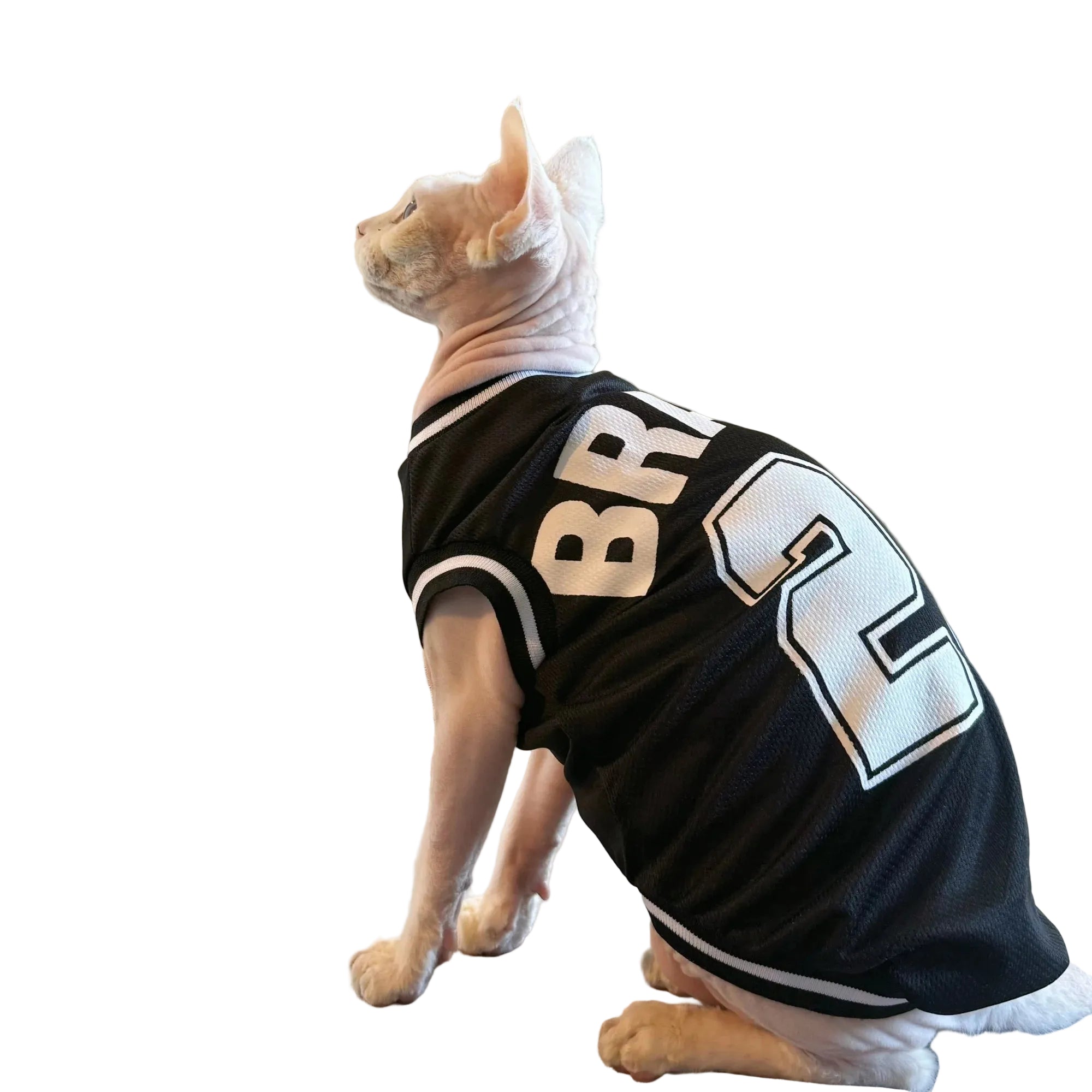 Sphynx cat wearing a black BRAVE 23 pet sports jersey with white trim, shown from the side