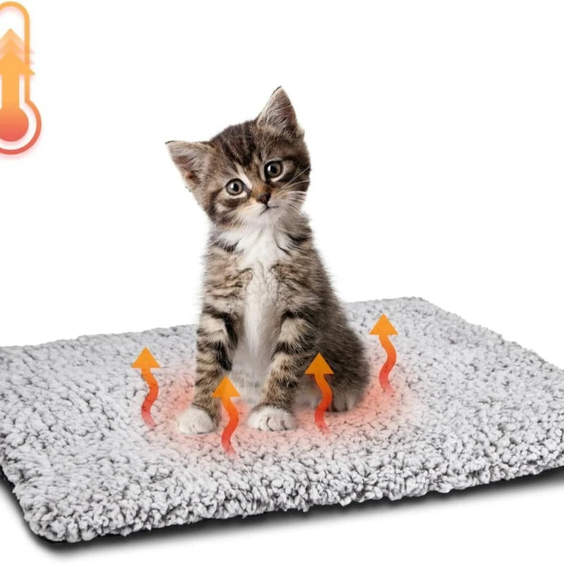 Tabby kitten sitting on a grey self-warming pet mat with heat arrows showing warmth retention