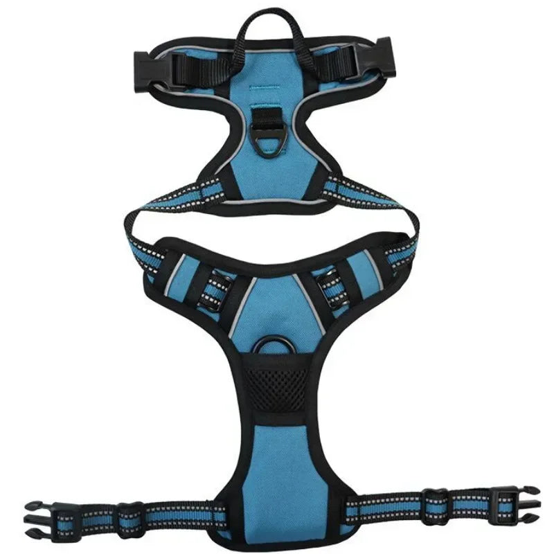 Teal blue and black adjustable dog harness with reflective straps, padded panels, grab handle and leash attachment rings
