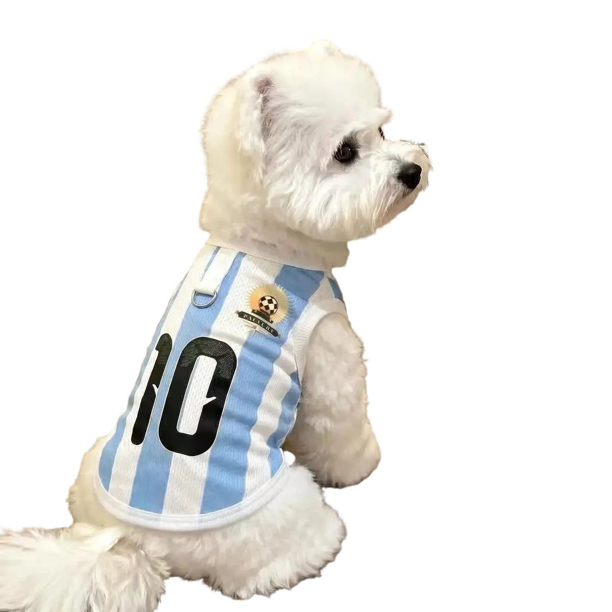 White dog wearing a blue and white striped soccer jersey with number 10 on the back