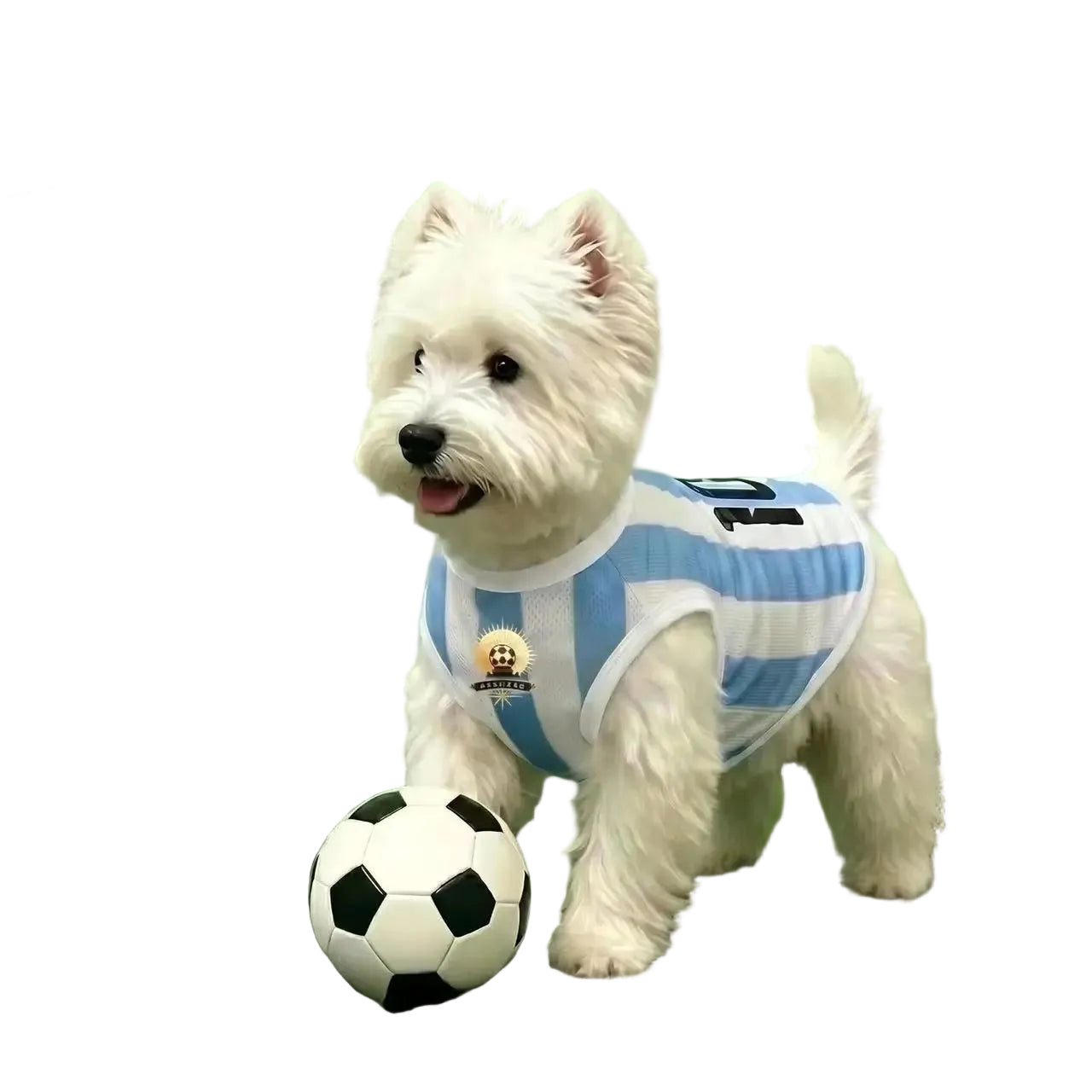 White dog wearing a blue and white striped soccer jersey standing beside a football