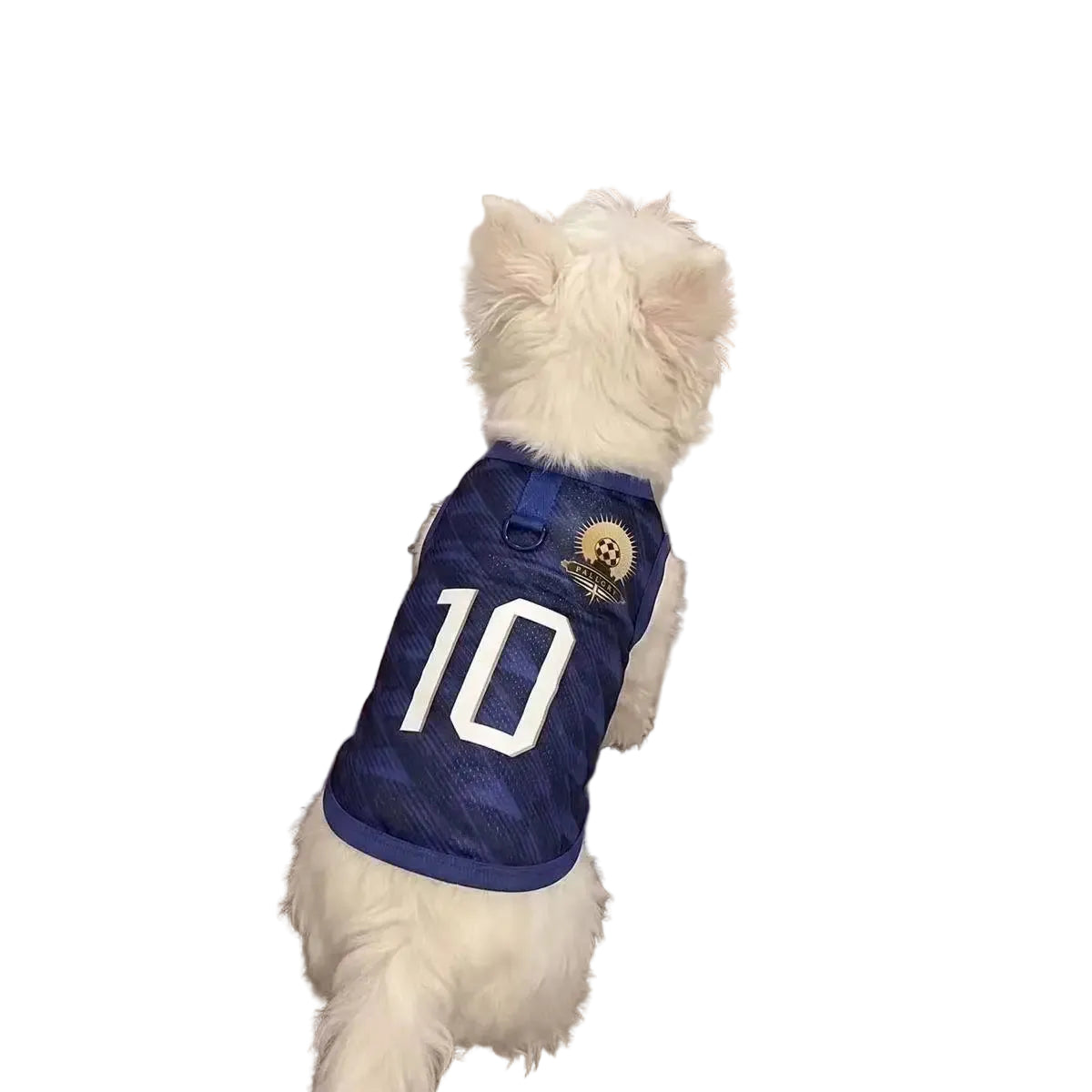 White dog wearing a navy blue soccer jersey with number 10 printed on the back