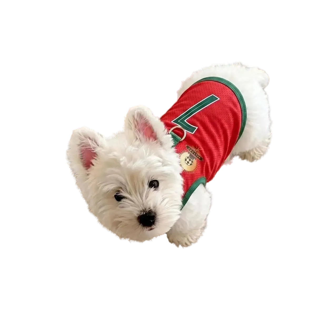 White dog wearing a red soccer jersey with green trim and number 7 on the back