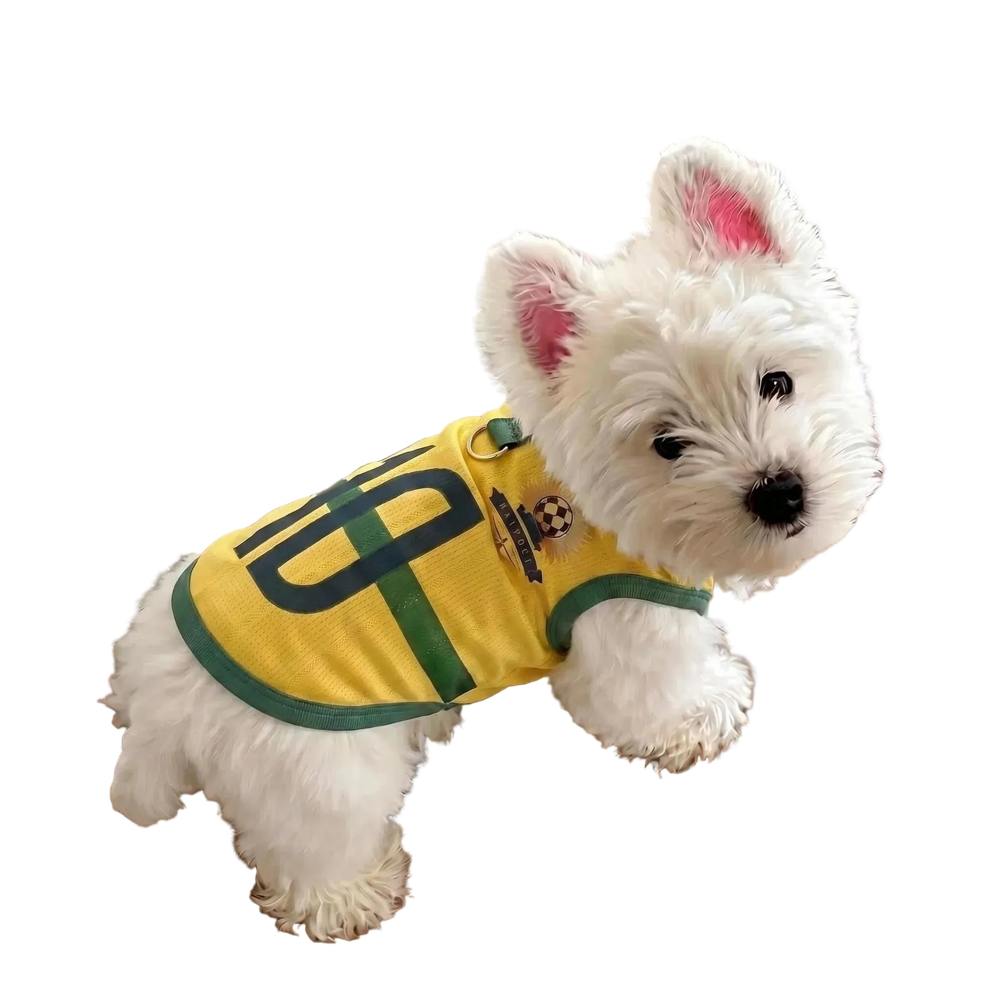 White dog wearing a yellow soccer jersey with green trim and number 10 on the back