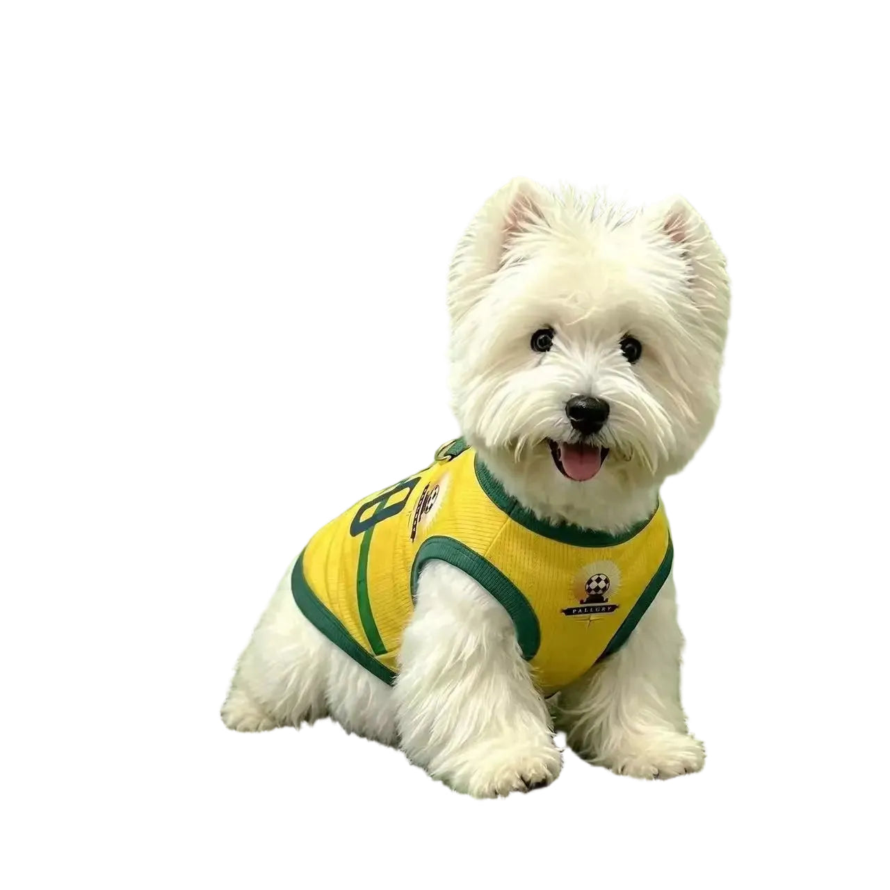 White dog wearing a yellow soccer jersey with green trim and football-themed detail