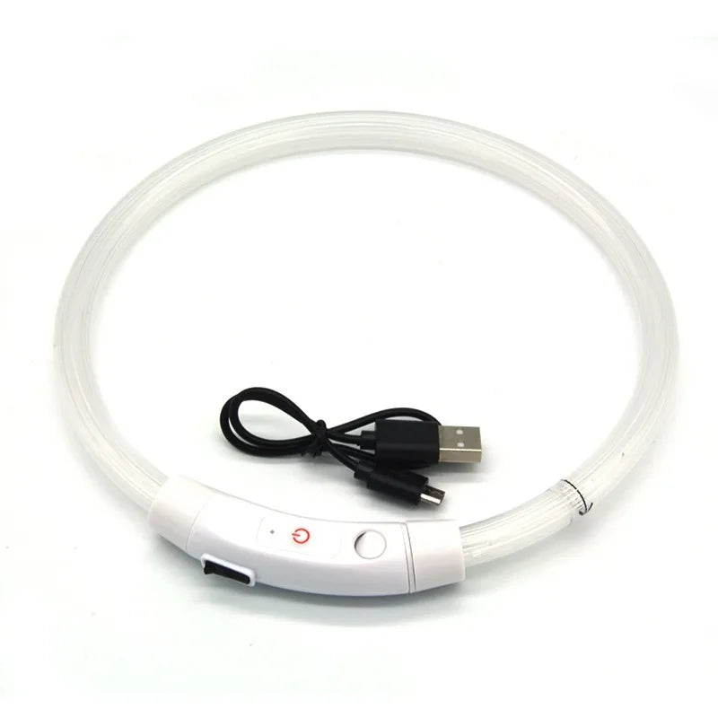 White USB rechargeable LED dog collar with illuminated tube, power switch and charging cable