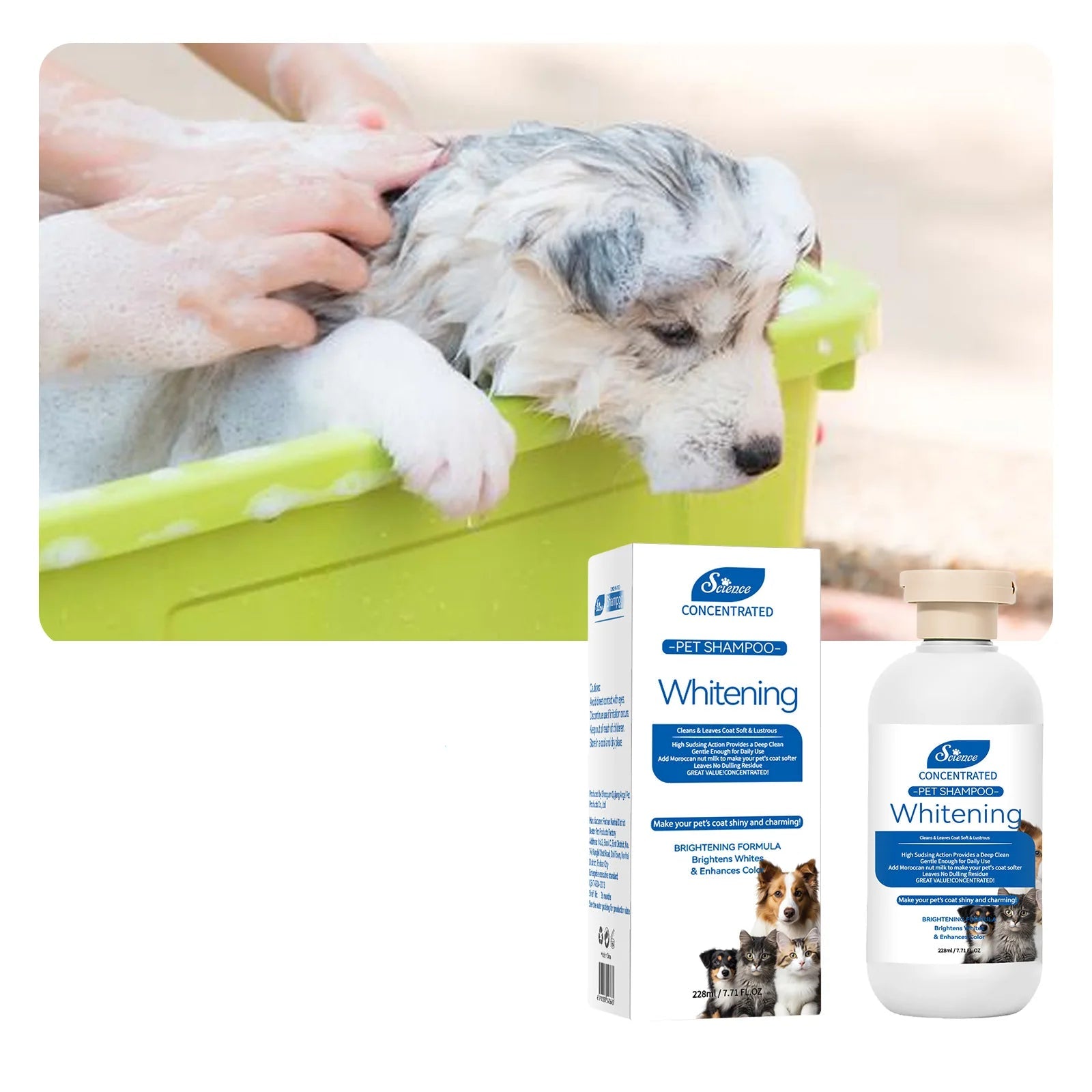 Puppy being bathed with whitening pet shampoo, shown with the concentrated shampoo bottle and product packaging