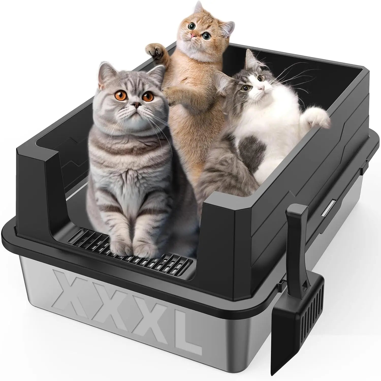 Three cats sitting in an XXXL stainless steel cat litter box with high sides, low front entry and litter scoop