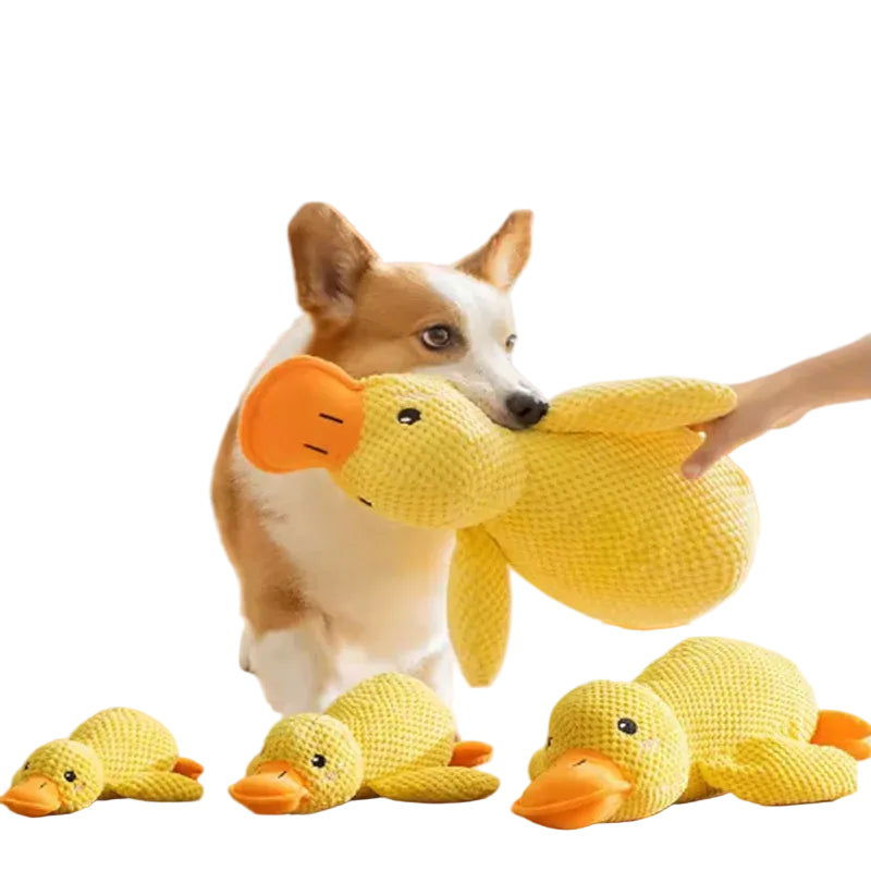 Dog playing with a yellow plush duck dog toy shown in multiple sizes for interactive play