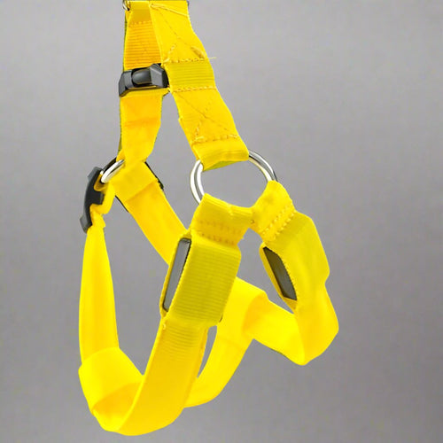 Night LED Dog Harness available from RPBA Shop